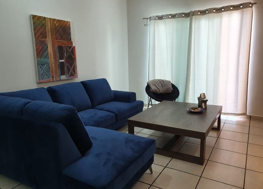 Expansive Apartment in San Agustín, NL 5