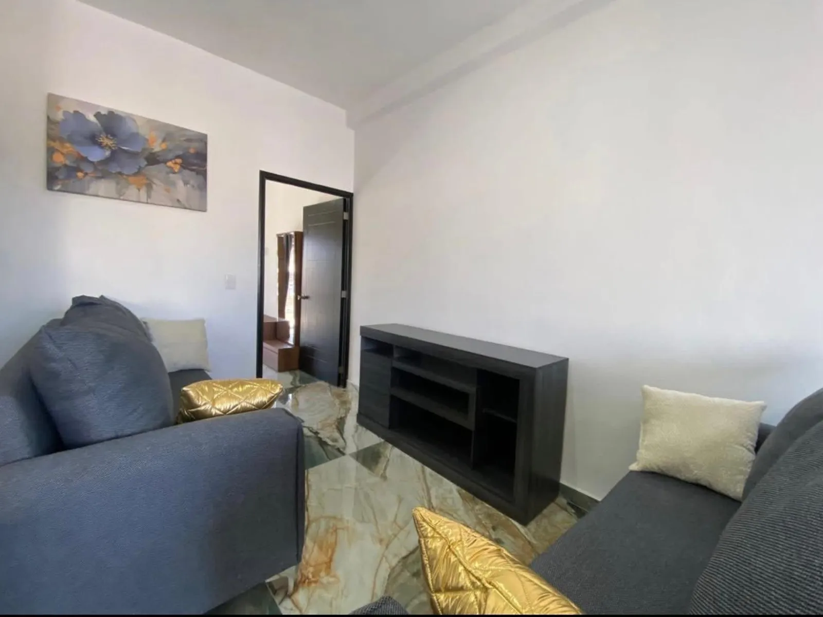 Luxury Apartment in 5 de Diciembre, JAL 6