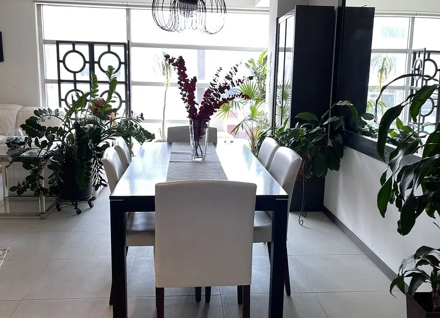 Stylish Apartment with Terrace in Hipódromo, CDMX 6