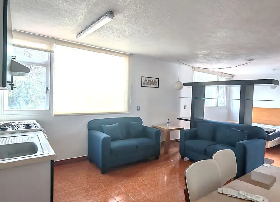Charming Studio in Coyoacán Centro, CDMX 3