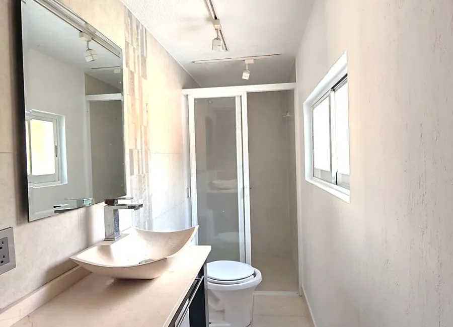 Charming Studio in Coyoacán Centro, CDMX 5
