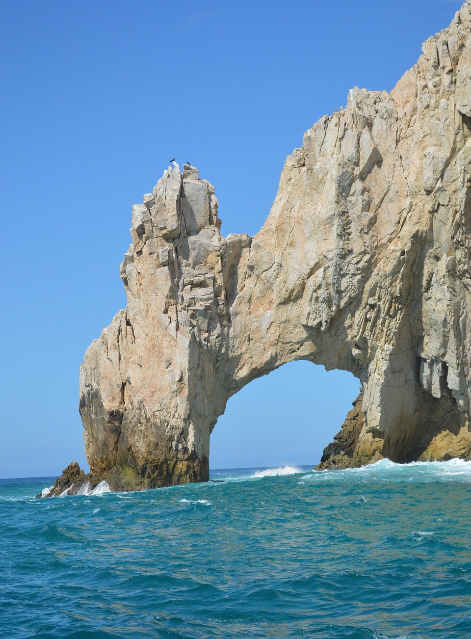 Los Cabos